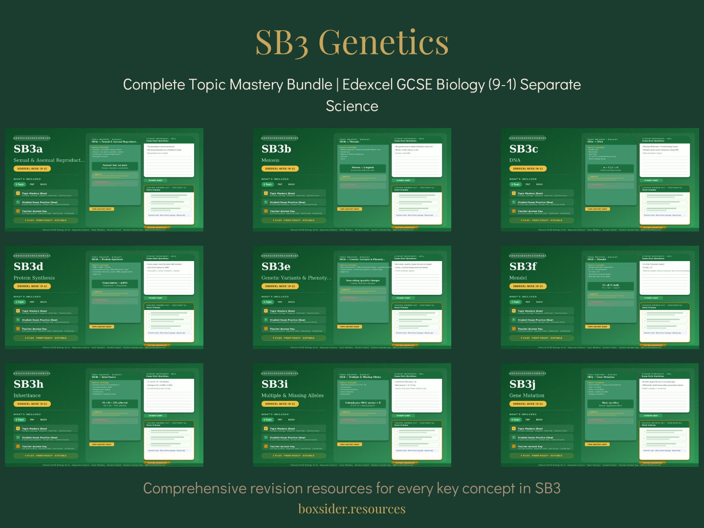 SB3 Genetics | Complete Topic Mastery Bundle | Edexcel GCSE Biology (9–1) Separate Science