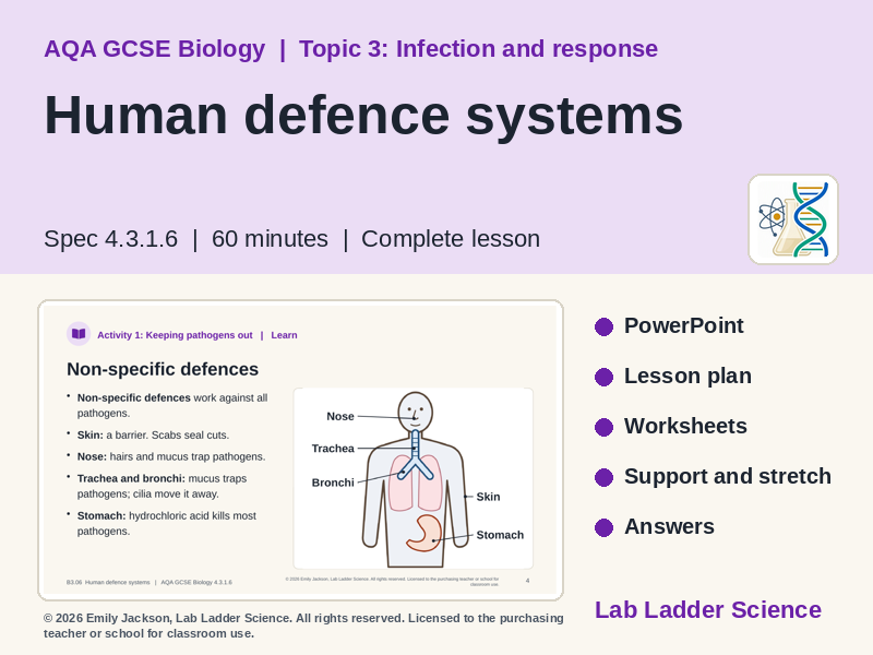 B3-06 Human Defence Systems: AQA GCSE Biology