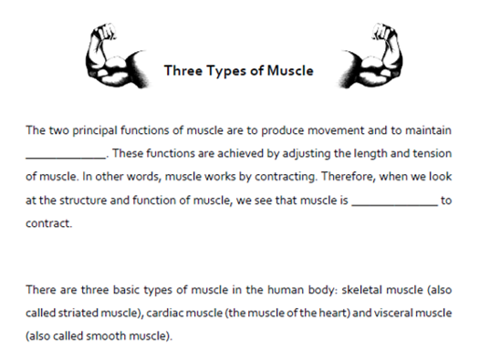 A&P Muscular System: Three Types of Muscle Cloze