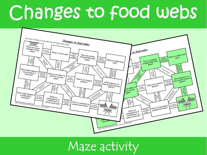 Changes to Food Webs Maze Worksheet | KS2–KS3 Science Revision Activity