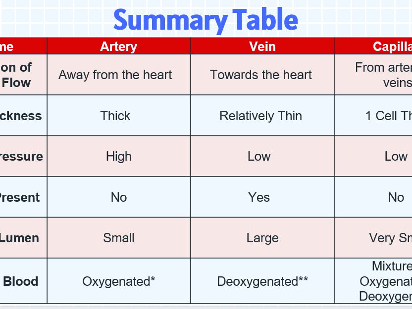 Circulatory System - Yr 12 Biology CCEA