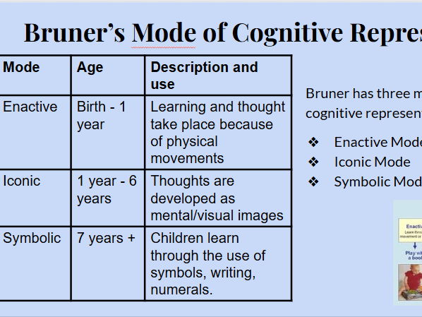 AAQ - Early Childhood Development - Bruners Modes of Cognitive Representation