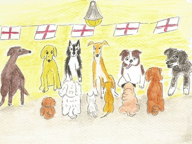 The World Cup:Dog United play football for England