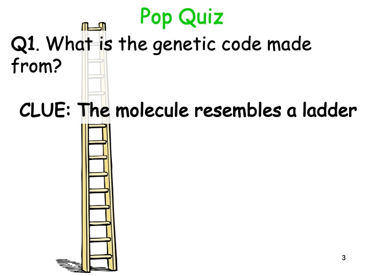 Section 1. Nucleic Acids. 2.2 DNA Replication NEW AQA Year 12 Biology specification