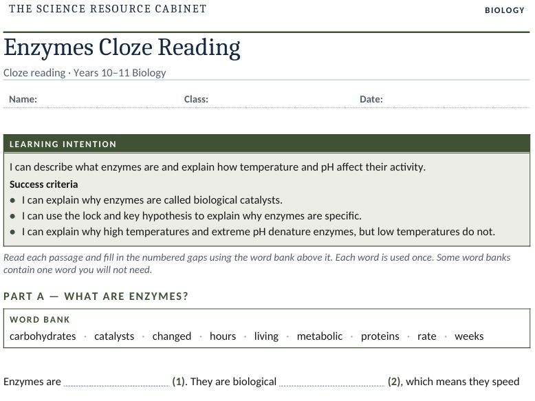 Enzymes Cloze Reading Worksheet