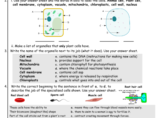 Cells KS3 Science WHOLE LESSON RESOURCE