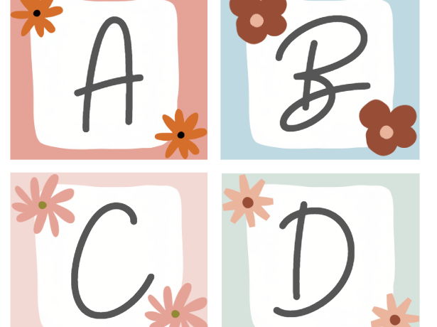 Boho Pastel Display Letters | Editable Classroom Display Letter Bunting | PowerPoint Resource