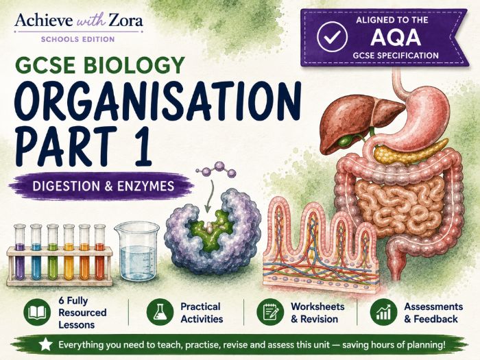 Organisation Part 1: Digestive System & Enzymes – Complete Unit 2 for AQA GCSE Biology