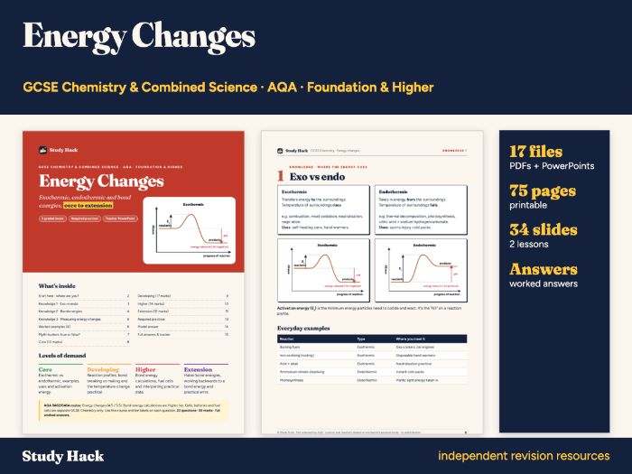 GCSE Chemistry Energy Changes Complete Pack (AQA)