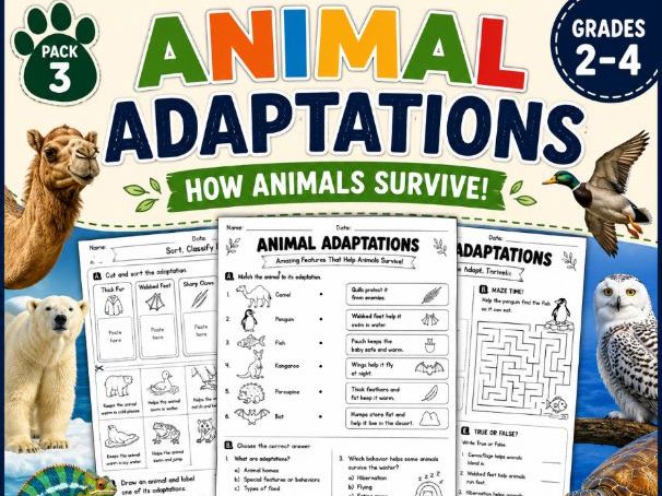 Animal Adaptations Worksheets | How Animals Survive | Worksheet|Grade2-4| Pack 3