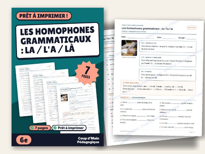 French Homophones la / l'a / là Worksheet Grade 6 Grammar | la / l'a / là