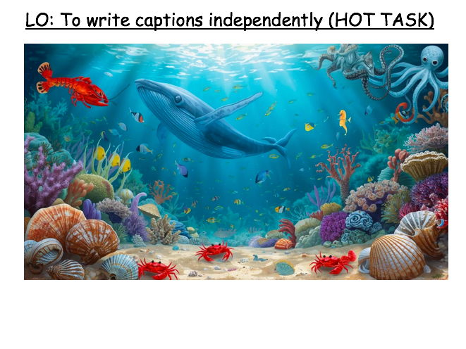 Year 1 - Non-fiction unit: Labels and Captions