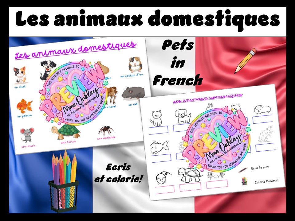 Les animaux domestiques | Pets | Worksheet | Label and colour