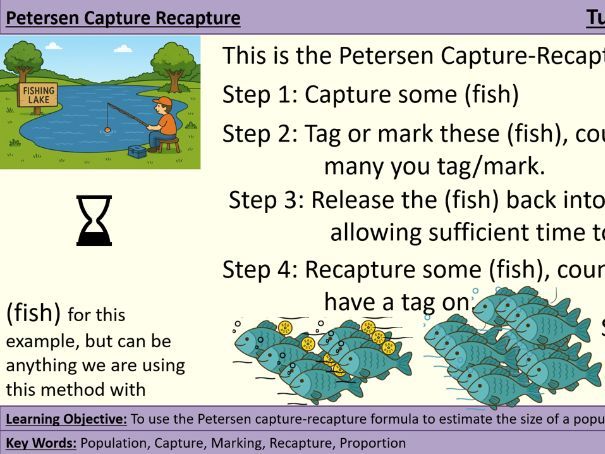 GCSE Stats - 01.05 Petersen Capture Recapture Method