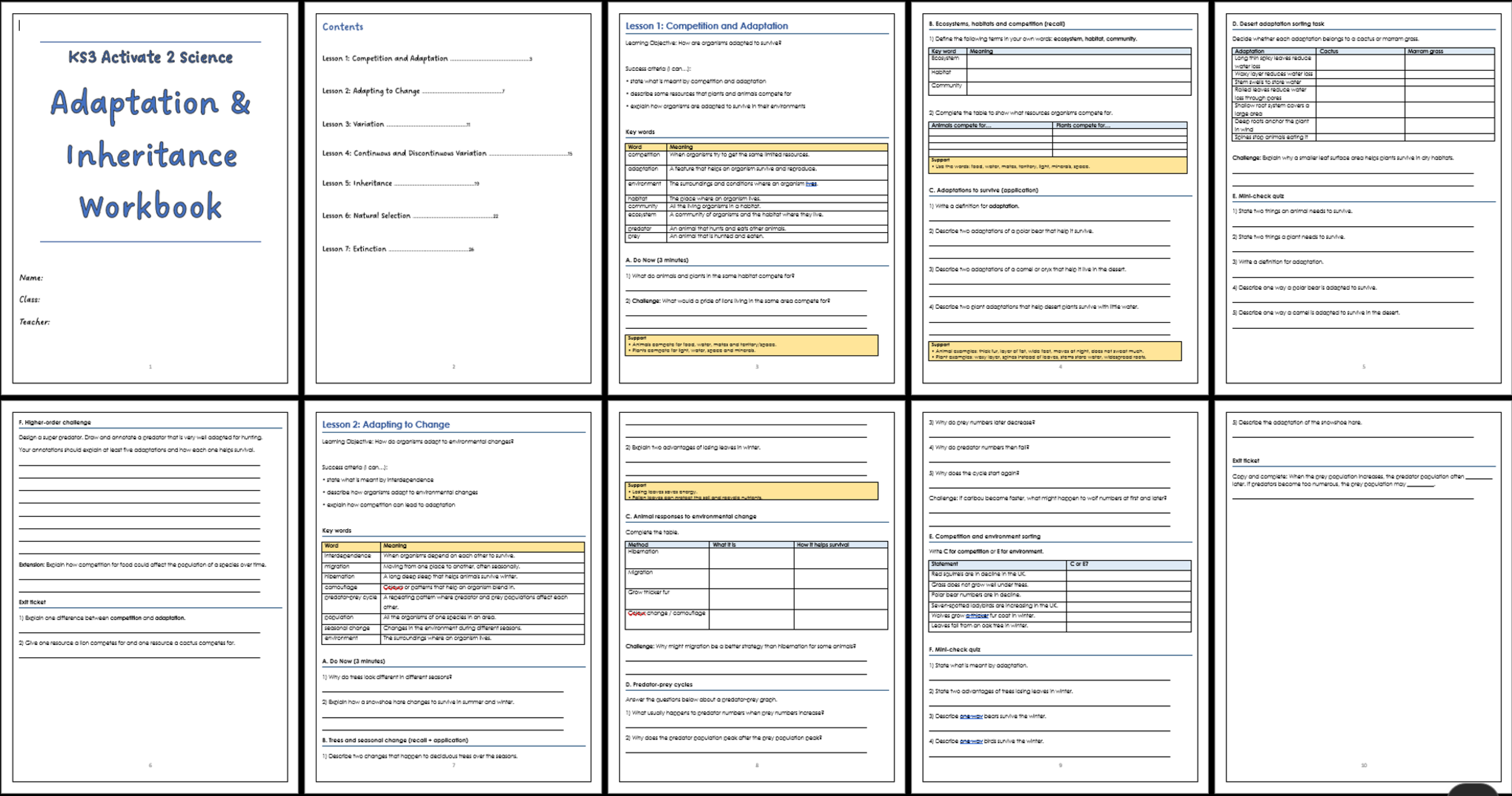 docx, 55.06 KB