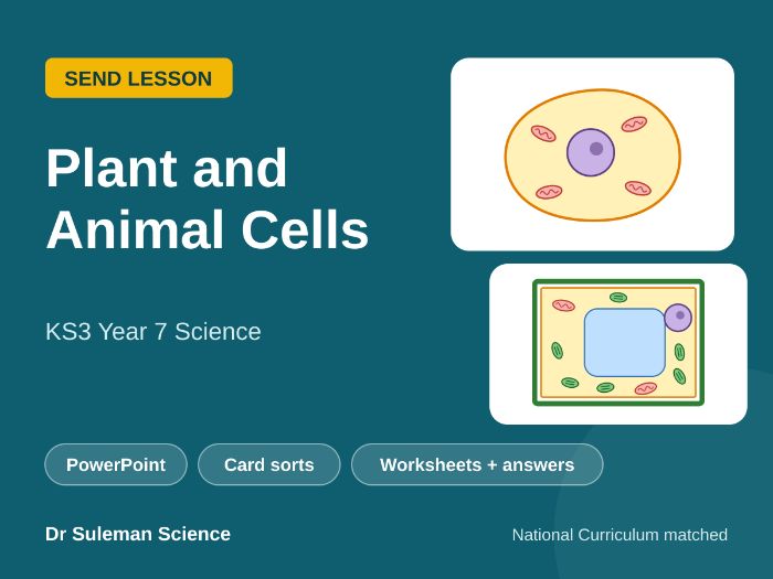 Plant and Animal Cells SEND Lesson KS3 Year 7