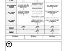 A-Level Economics Feedback Template