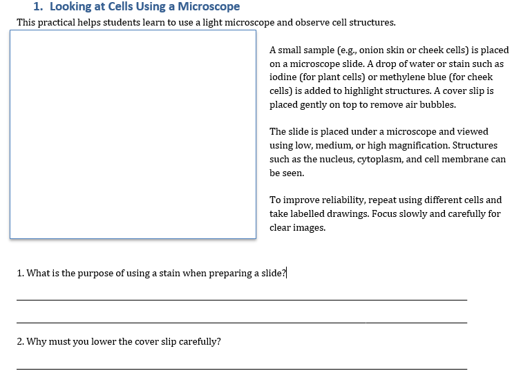 Edexcel required practical - Biology