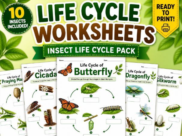 Ultimate Insect Life Cycle Worksheets Bundle | Cut & Paste Science Activities (K-grade 4)