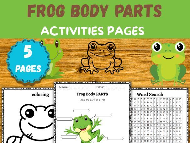 Parts of a Frog Worksheets