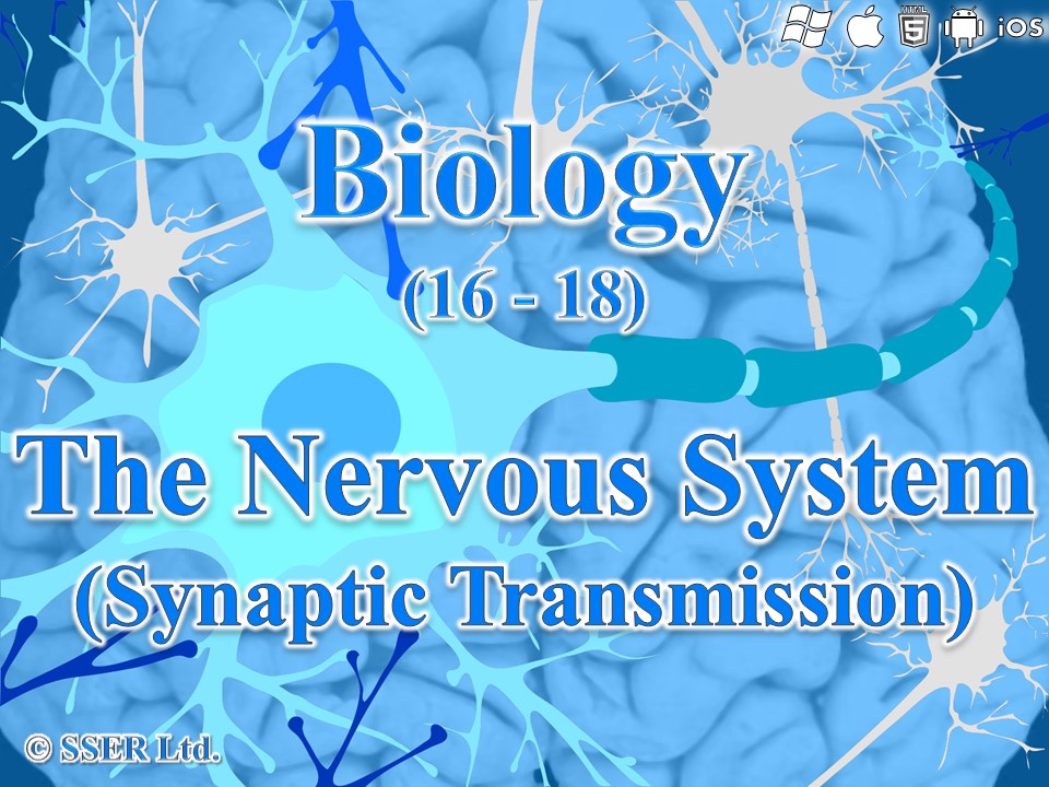 BioA_3.6.2.2 Synaptic Transmission