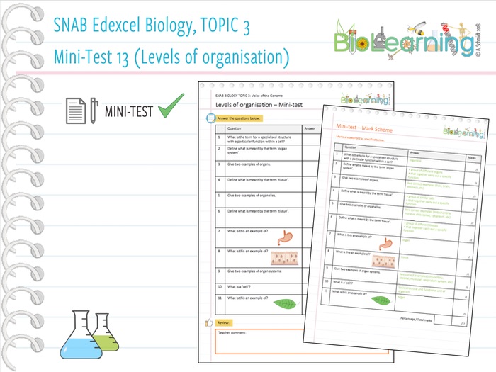 Levels of organisation Minitest (KS5) Teaching Resources