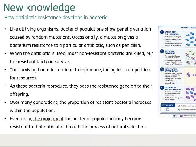 Resistant bacteria