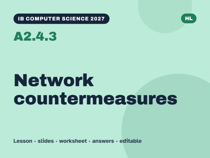 IB Computer Science 2027 – A2.4.3 Network countermeasures – Lesson & Worksheet