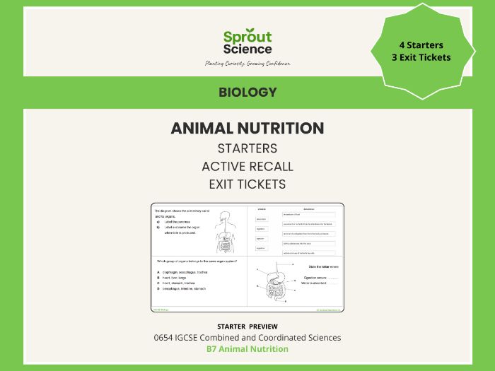 B7 Animal Nutrition | Starter Activities & Exit Tickets | IGCSE Biology