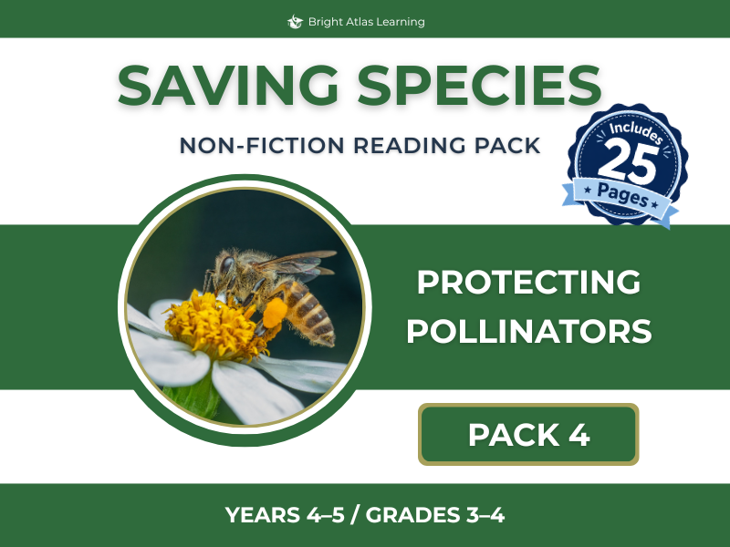 Pollinators Reading Comprehension Pack | KS2 Years 4–5 Non-Fiction