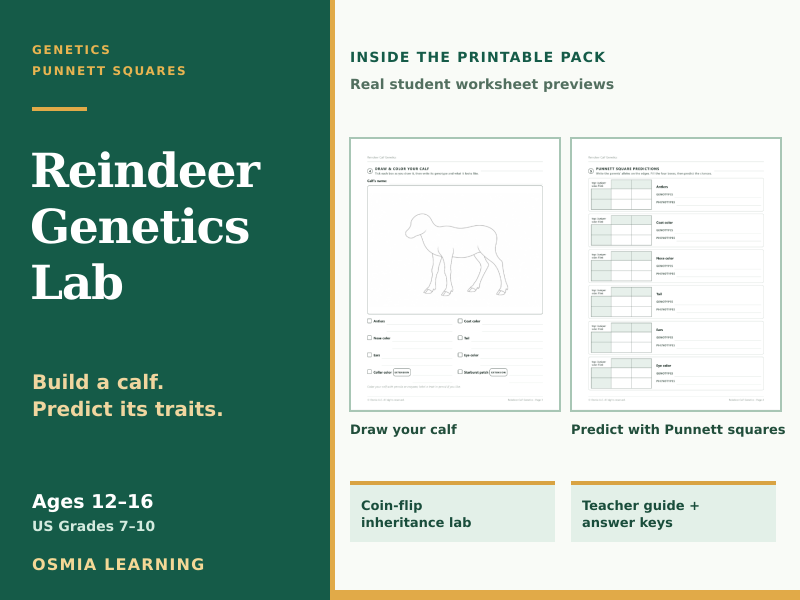 Reindeer Genetics Lab | Punnett Squares & Inherited Traits Activity