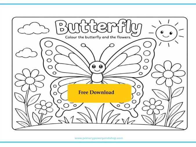 FREE Butterfly Colouring Sheet for KS1 & KS2