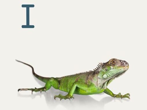 A-Z alphabet frieze for display