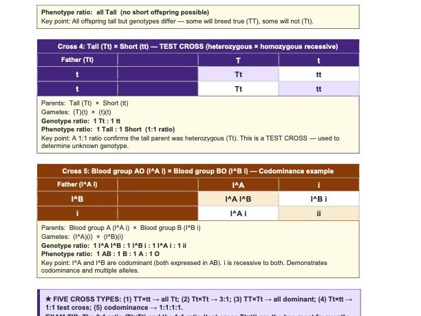Ch. 17 Inheritance — Exam-focused Complete Revision Guide — Cambridge IGCSE Biology 0610