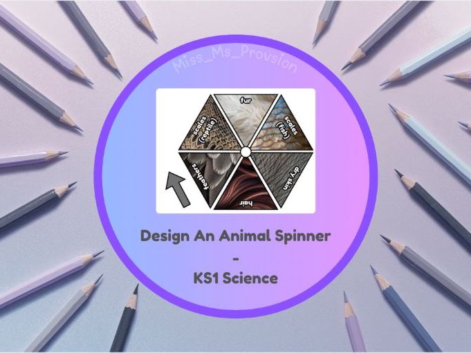 Design An Animal Spinner