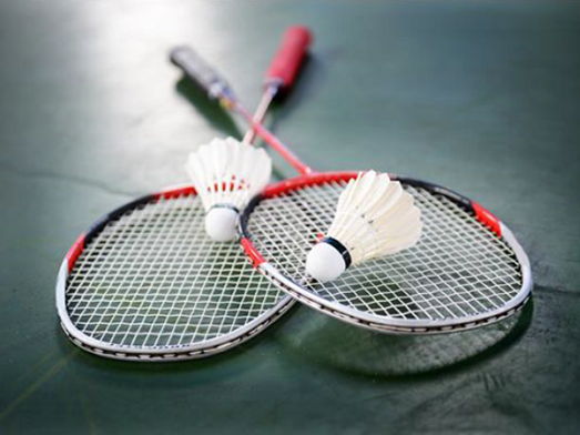Let's become a badminton pro!