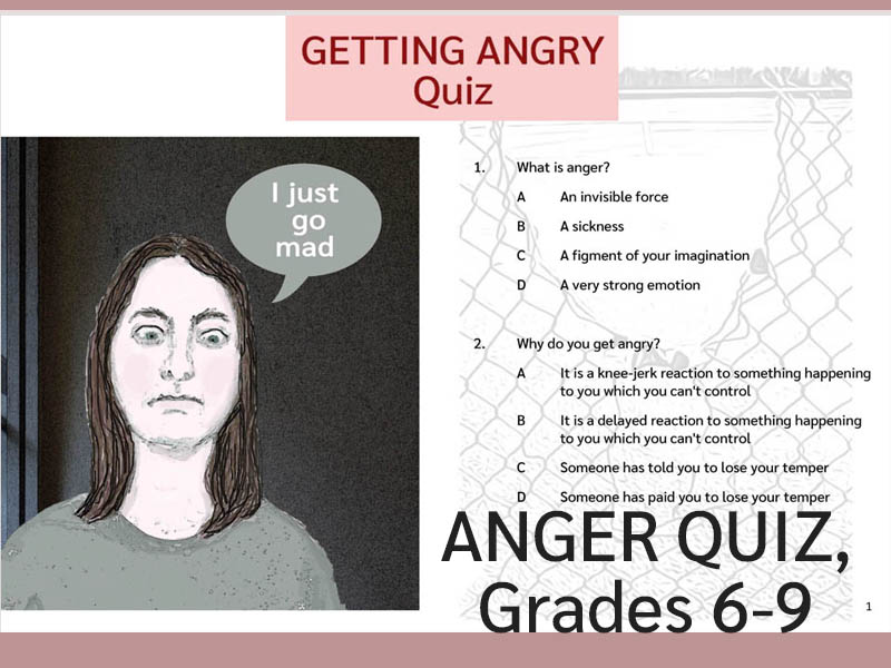 Anger Quiz (US)