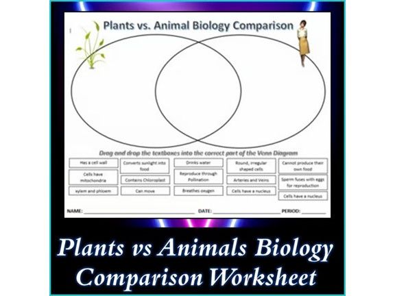 Plants vs Animals Biology Comparison Worksheet Activity Printable