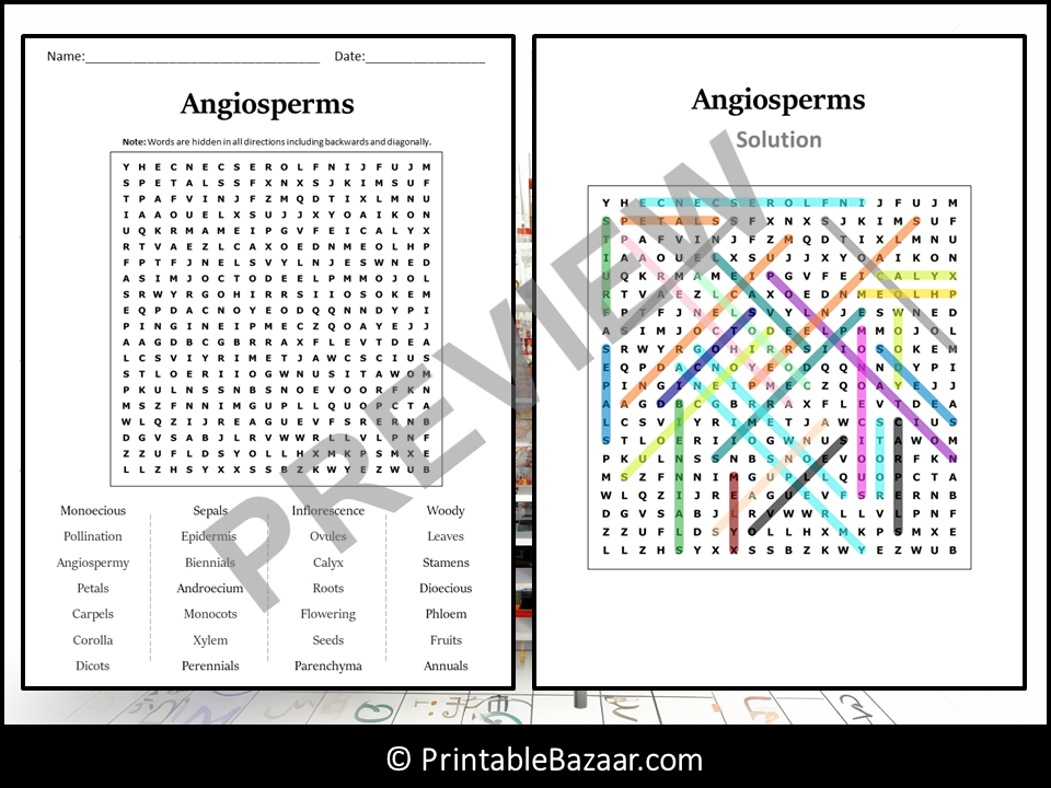 Angiosperms Word Search Puzzle Worksheet Activity | Teaching Resources