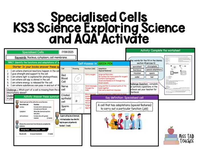 Specialised Cells AQA Activate and Exploring Science KS3