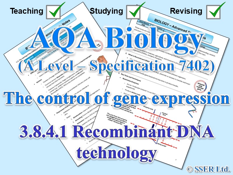 BIOA_AQA Topic Notes: 3.8.4.1 Recombinant DNA technology