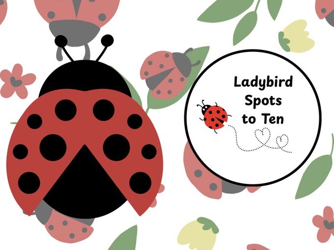 Ladybird Spots to Ten
