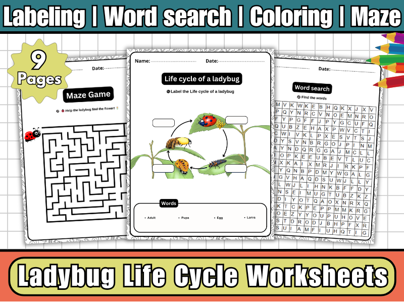 Life Cycle of a Ladybug-Labeling Worksheets,Coloring,Word Search & Maze | Insect Science Activity