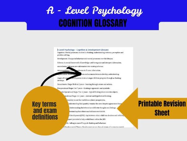 A Level Psychology Cognition & Development Glossary | Piaget Vygotsky Key Terms Explained
