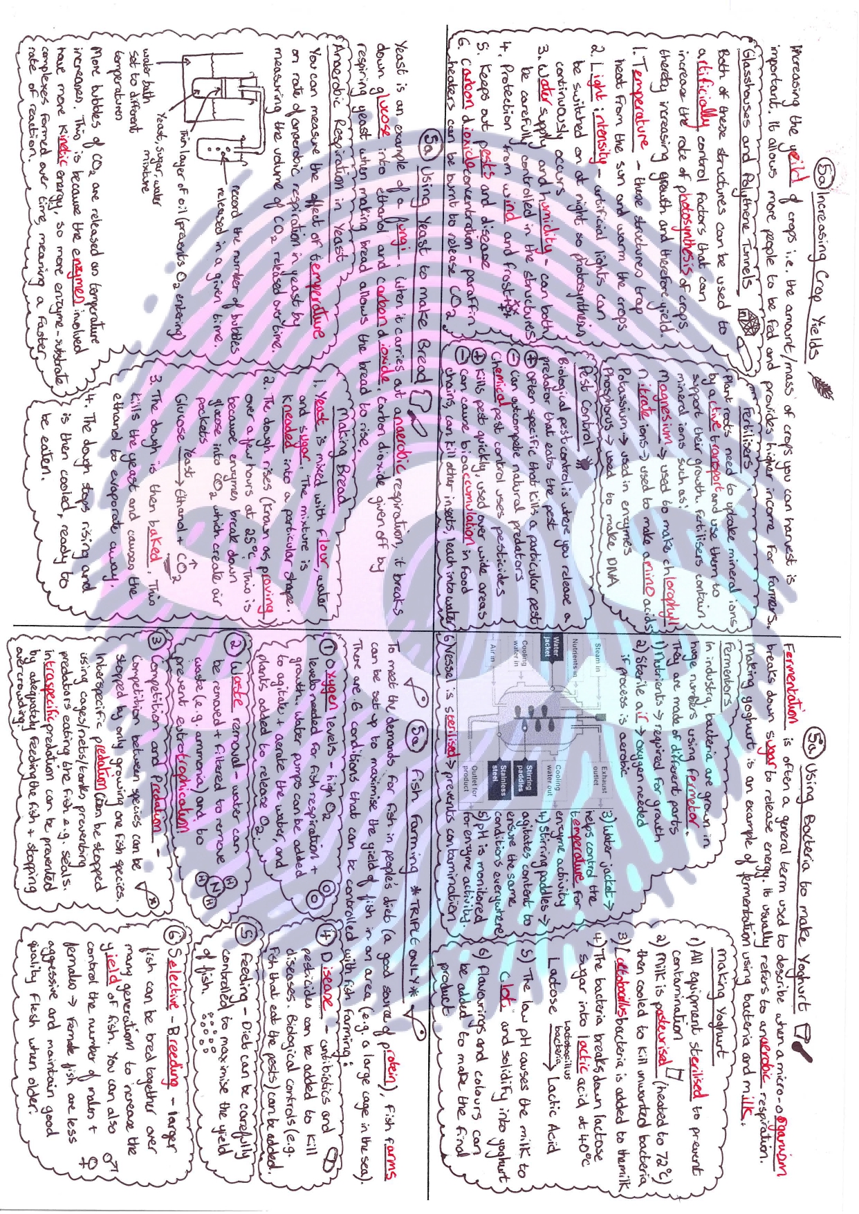 pdf, 1.82 MB