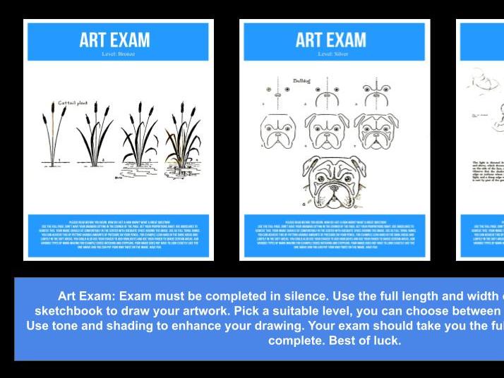 KS3 Art: Year 7 Drawing Baseline Test