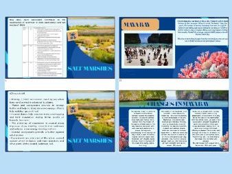 iAL Geography edexcel - Paper 2 Coasts. 2.4.3 Coastal ecosystems & environments. All 6 syllabus pts