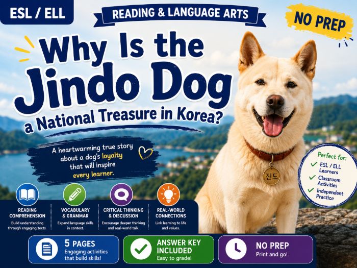 Jindo Dog Reading | Korea's National Treasure