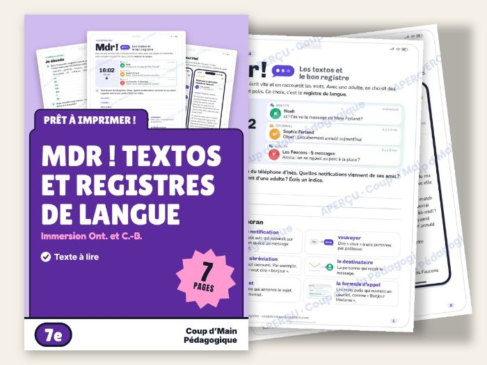 French Immersion Grade 7 Texting vs Email | Language Registers