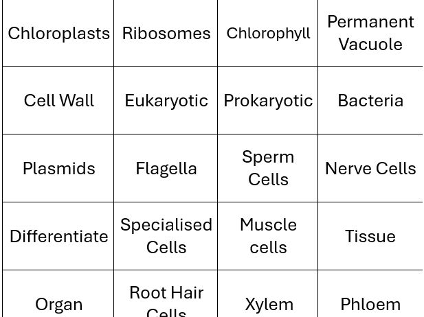 GCSE Science Revision Game Keywords and knowledge - great for SEND